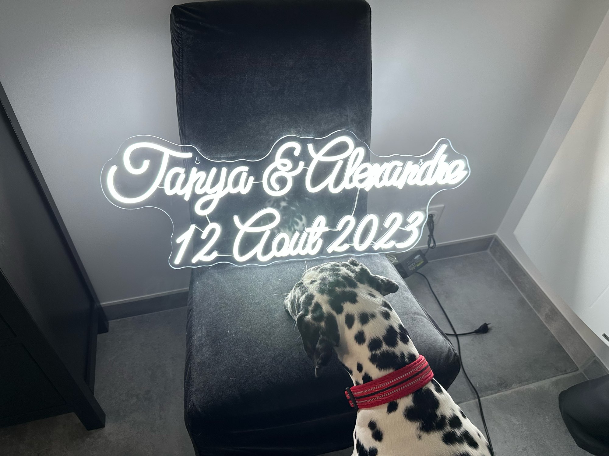 Custom Neon Sign LED Neon Ligh - Home Office Logo reseña y precio